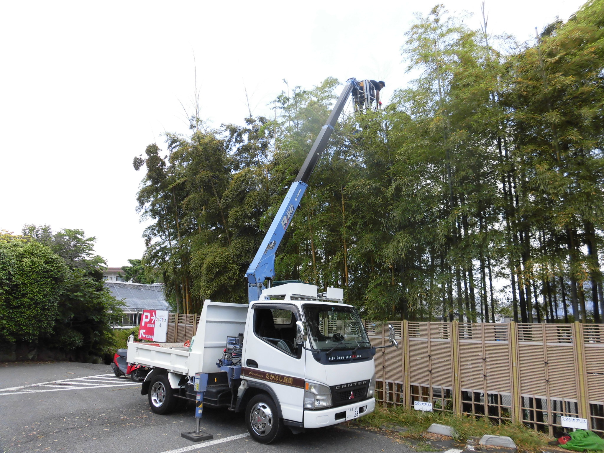 竹林の剪定 たかはし庭園 川崎市多摩区の造園専門店